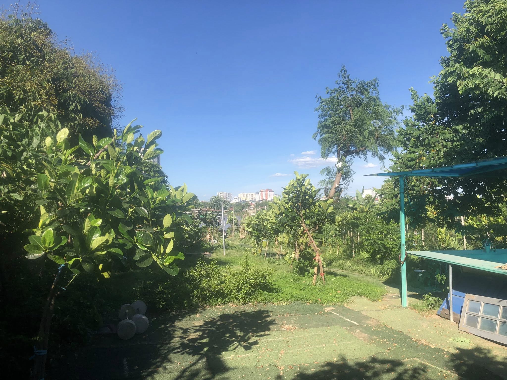 Cho thuê 1200m2 đất ngay chân cầu Long Biên Cà Phê, Nhà hàng, Vui chơi trải nghiệm, 8 triệu - Ảnh 3